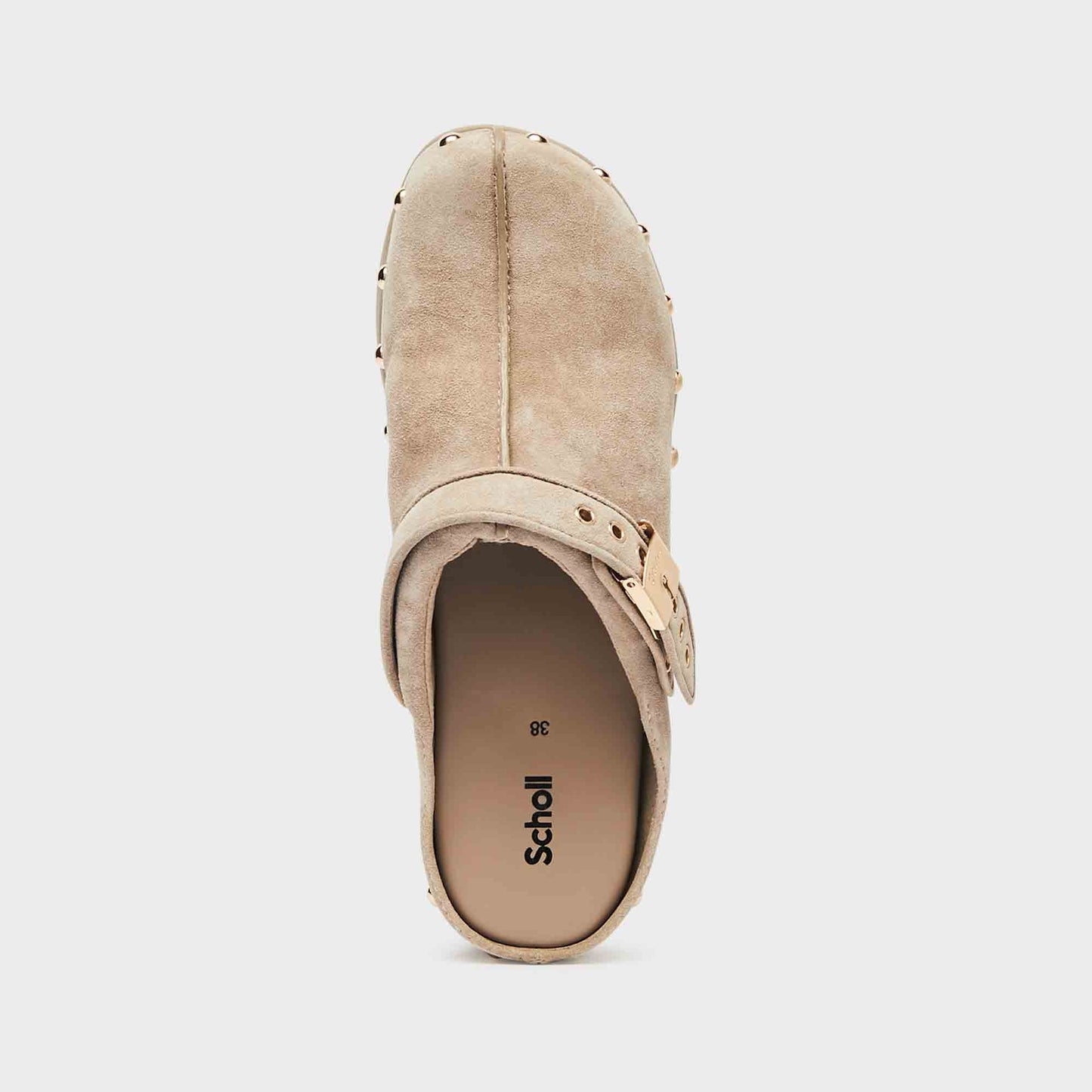 Scholl phoebe pescura