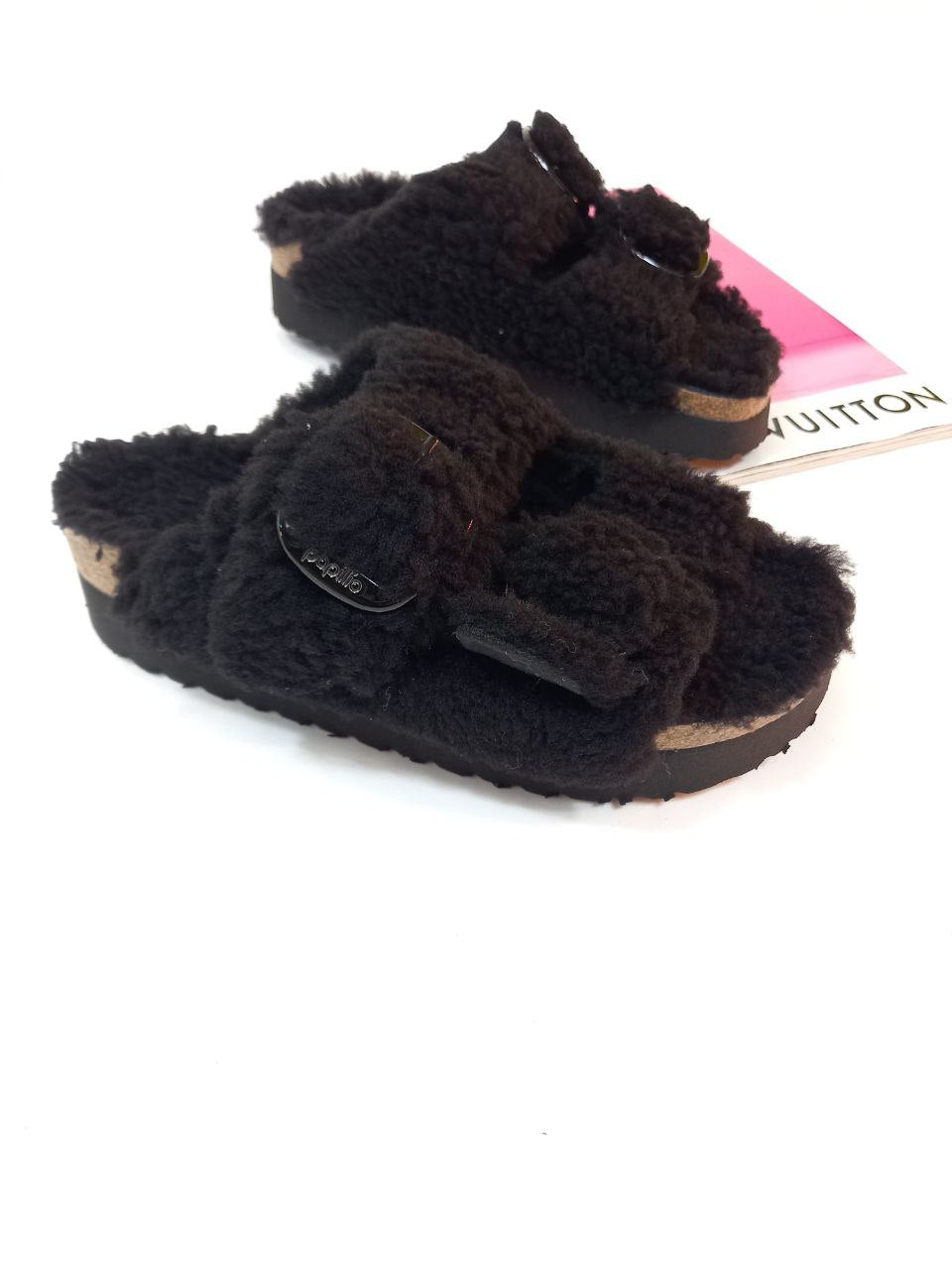 Papillio arizona teddy black