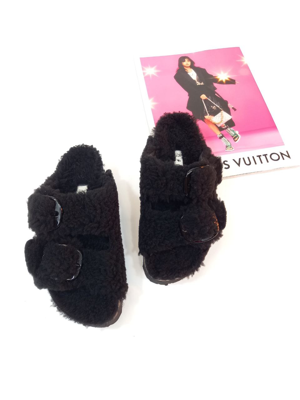 Papillio arizona teddy black