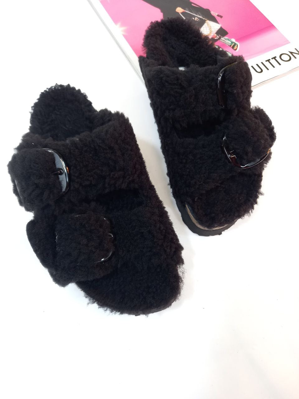 Papillio arizona teddy black